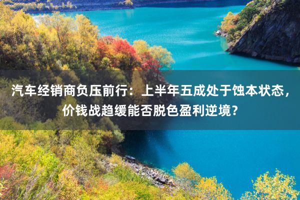 汽车经销商负压前行：上半年五成处于蚀本状态，价钱战趋缓能否脱色盈利逆境？