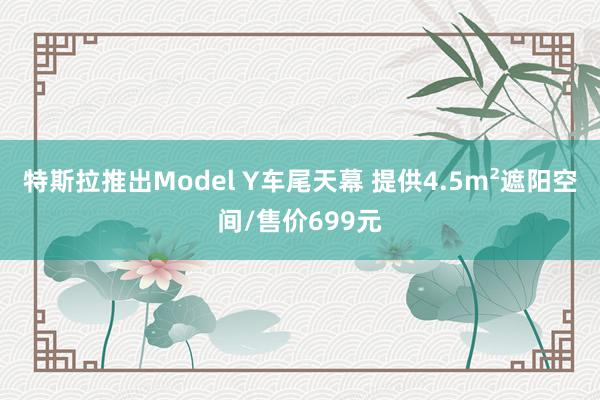 特斯拉推出Model Y车尾天幕 提供4.5m²遮阳空间/售价699元