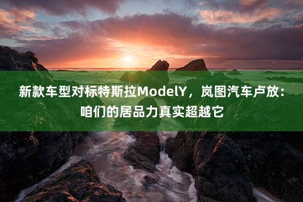 新款车型对标特斯拉ModelY，岚图汽车卢放：咱们的居品力真实超越它