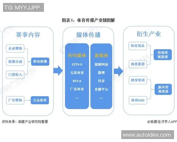 体育产业链全景深度解析及未来发展趋势探讨